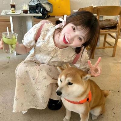 招惹玫瑰